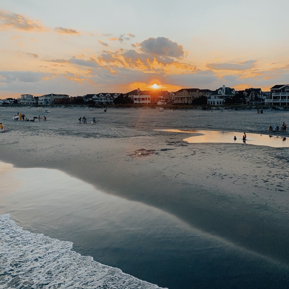 Meet your Posher, Molly